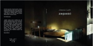 Na marginesie debiutu (Joanna Lech, „Zapaść”)