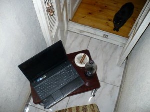 PIK_2m